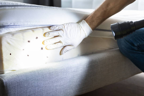 Best Commercial Pest Control Services  in Social Circle, GA