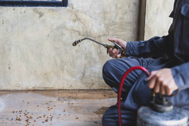 Best Termite Control Services  in Social Circle, GA